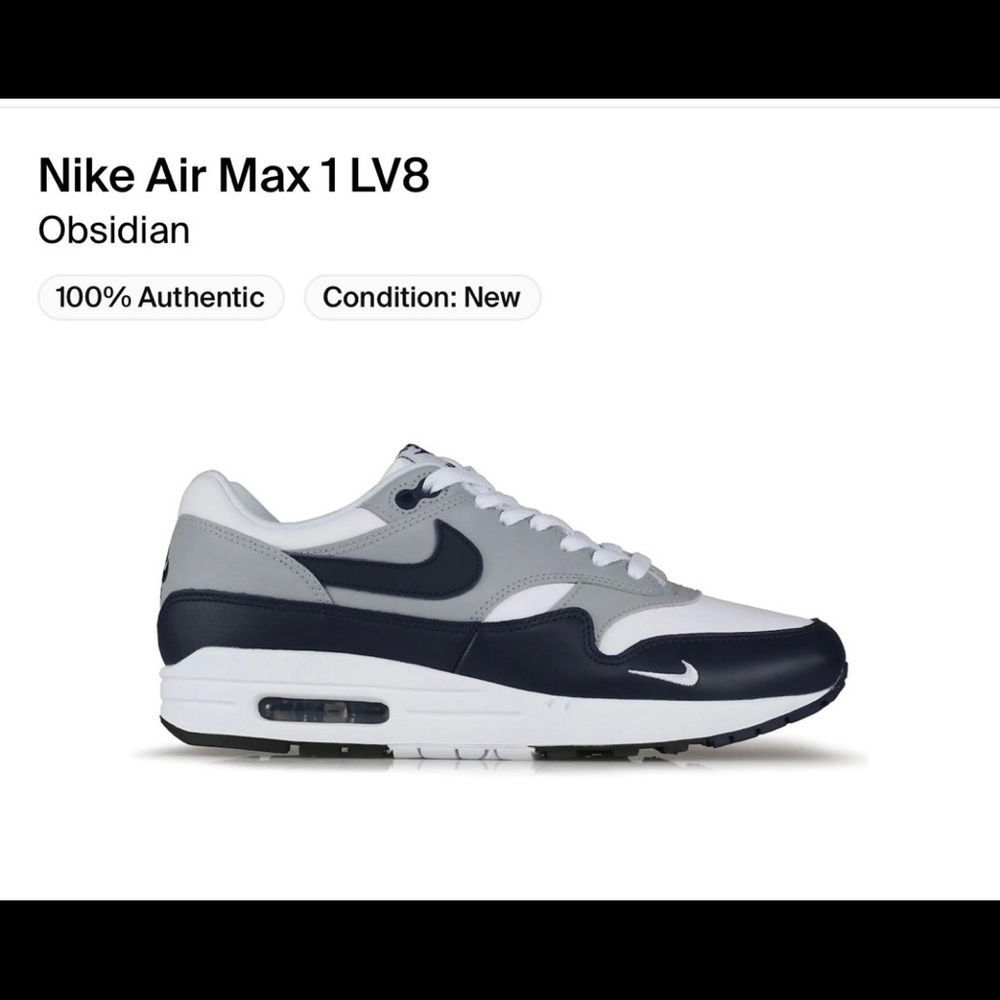 Nike Air Max 1 LV8